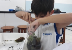 Aula prática no laboratório de Ciências com as turmas do 5º ano sobre O ciclo da água na natureza. 
